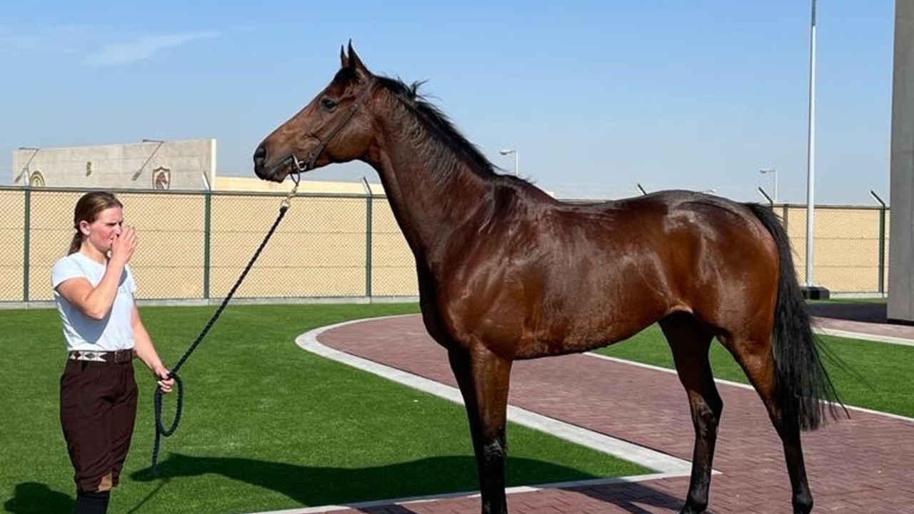 Victory Chime Hopes To Strike Winning Note In Bahrain Image 2